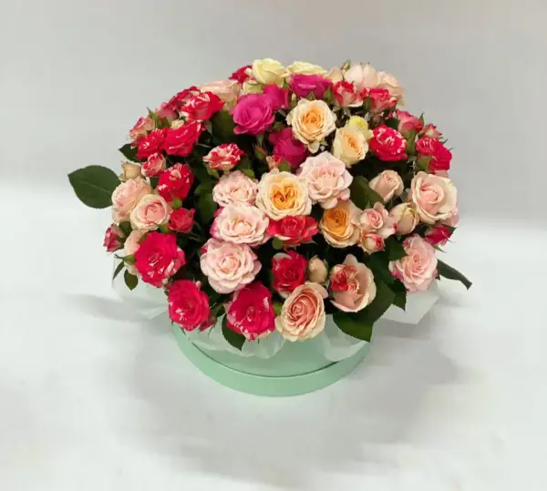 Созвездие